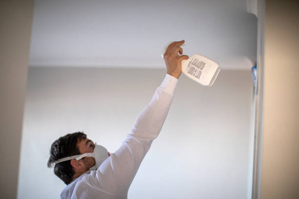 Best Black Mold Removal  in Finneytown, OH