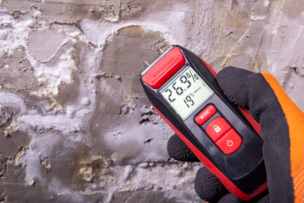 Best Crawl Space Mold Removal  in Finneytown, OH