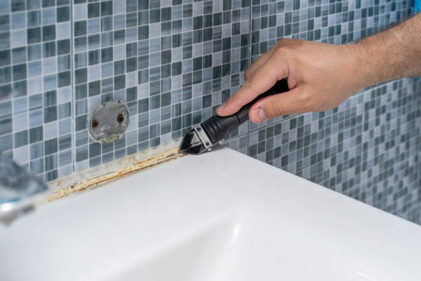 Trusted Finneytown, OH Mold Removal Experts